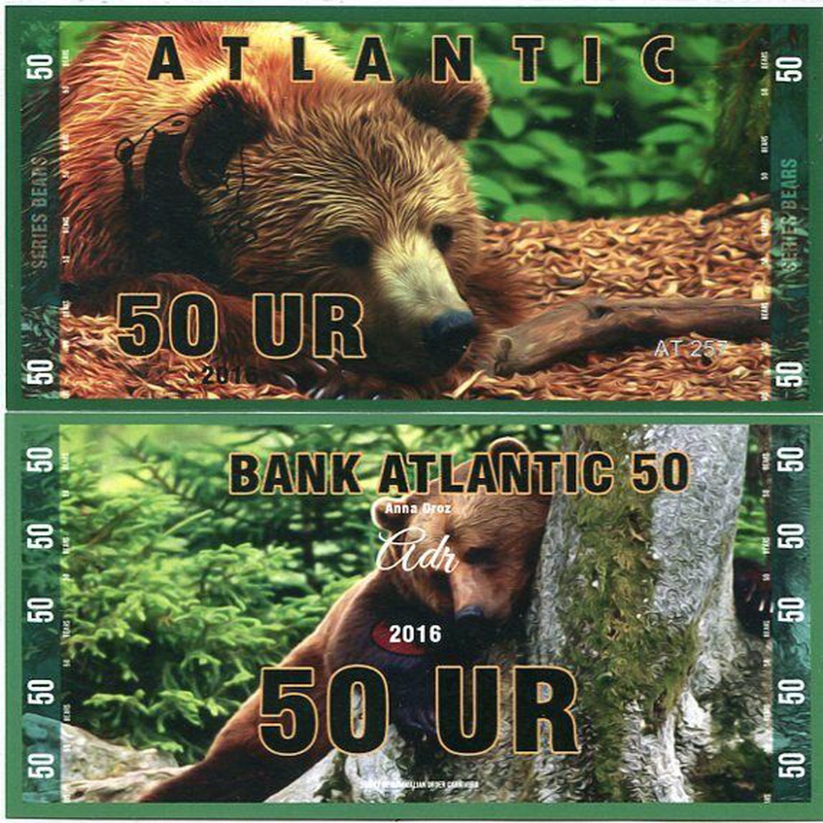 ATLANTIC BEAR 50 UR 2016 BROWN BEAR FANTASY