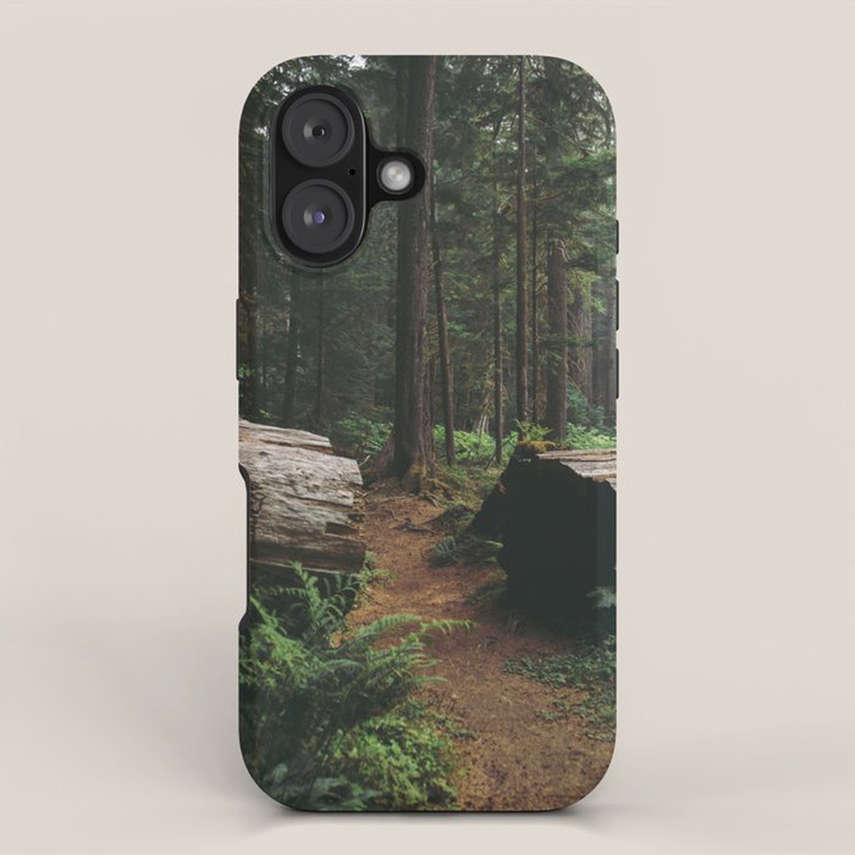 A Walk in the Woods iPhone Case